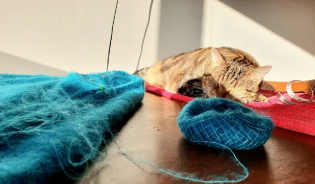 Beim Stricken wird auch genäht. Hier werden die einzelnen Teile zu einer Tunika verbunden. Tulip chillt derweil in der Sonne. 🧶🐈
.
.
.
Garn: #lanagrossasilkhair 

#knittersgonnaknit 
#knittingismymeditation 
#knittingandcats 
#catsofınstagram